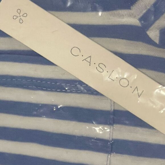 Caslon Rounded V-neck Soft T-Shirt in White-Blue C Brooke Stripe Size: XXS NWT - Picture 5 of 8